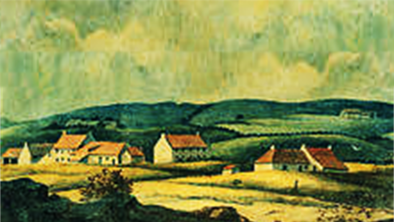 Contact Us Nitshill Memories